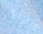 PULL COL ROULE EN CACHEMIRE 23BBSW26 ESTHEME CIEL