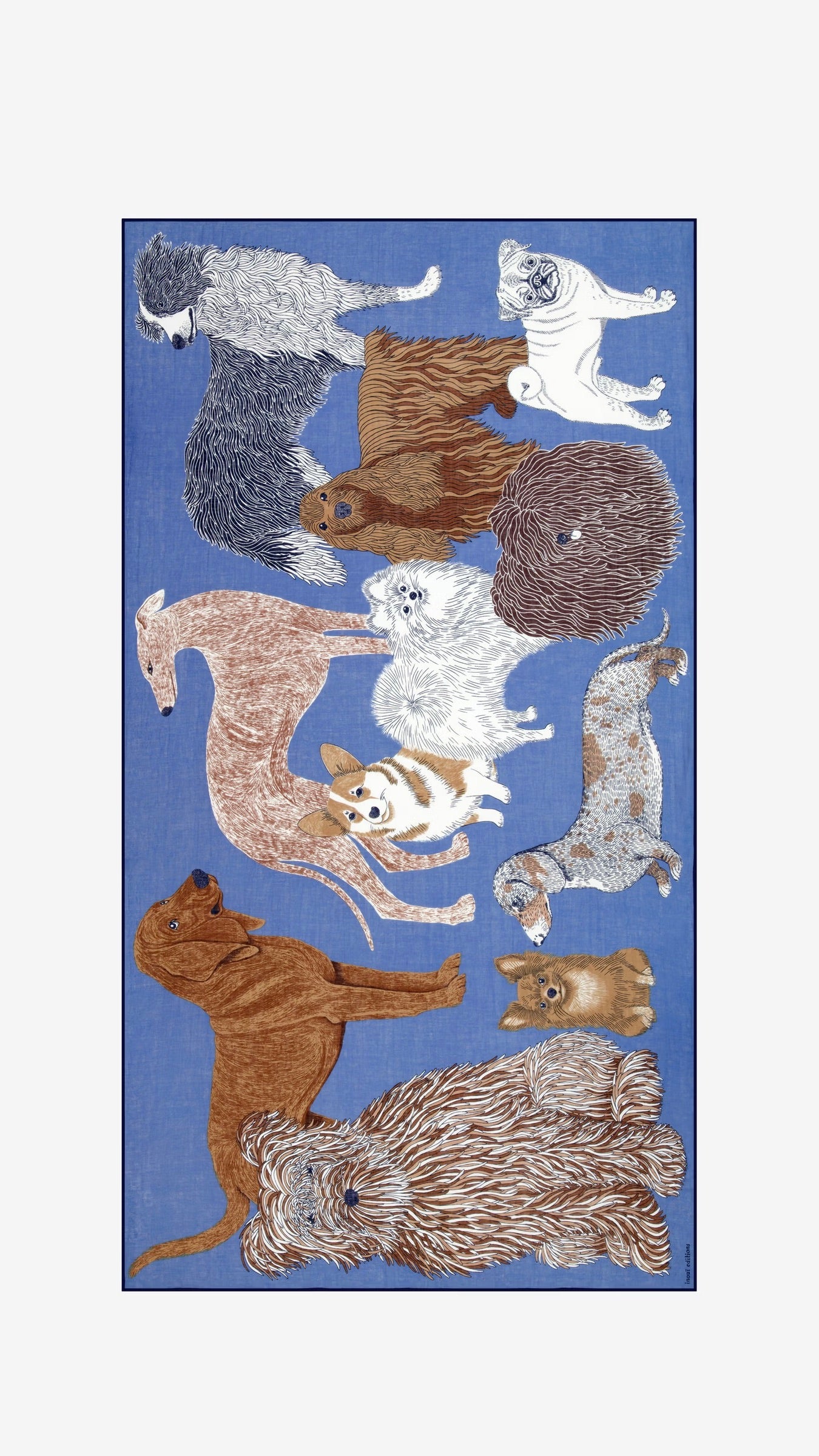 ECHARPE EN COTON IMPRIMEE CHIENS INOUI EDITIONS TOUTOU#COLOR_BLEU