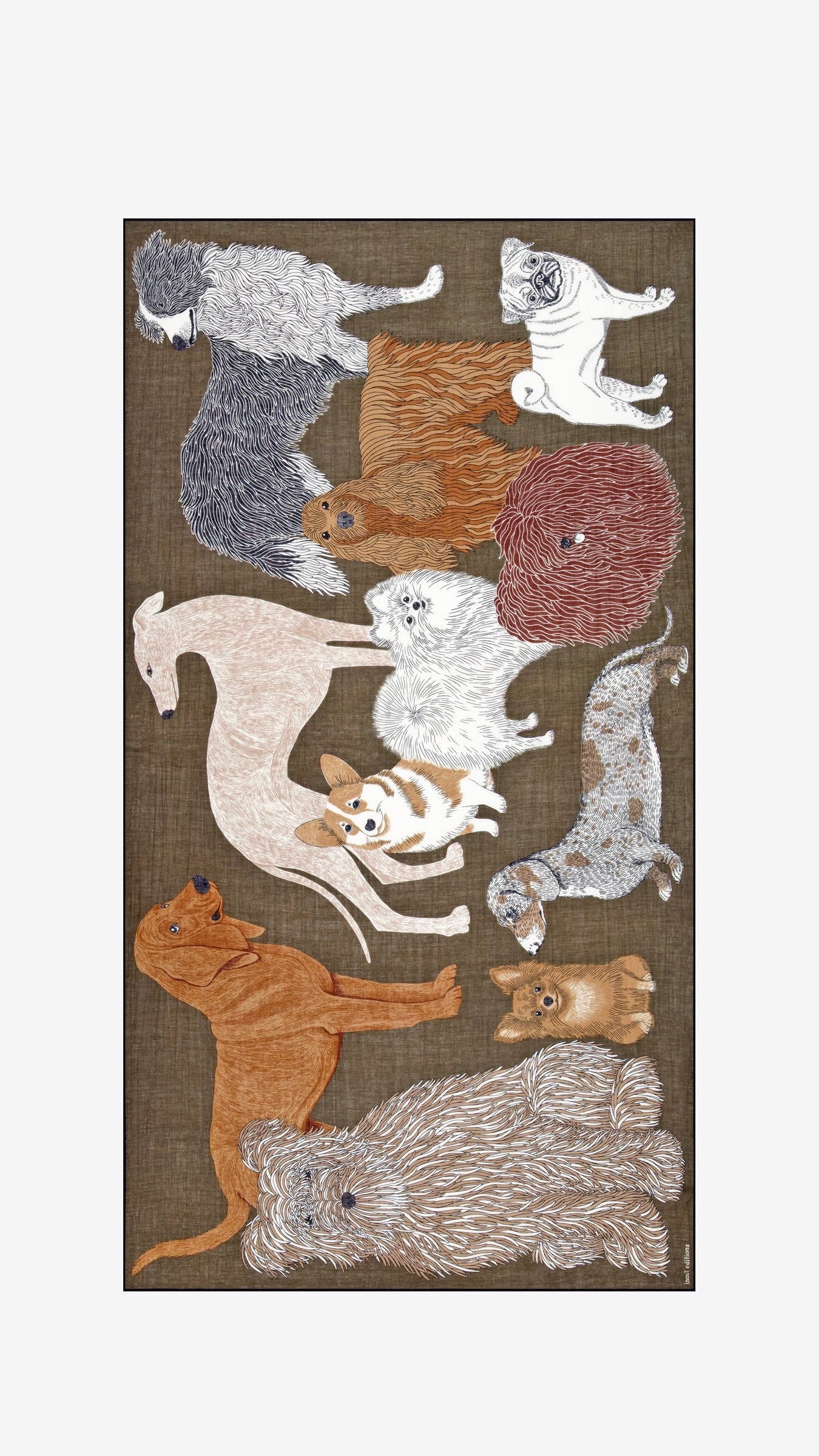 ECHARPE EN COTON IMPRIMEE CHIENS INOUI EDITIONS TOUTOU#COLOR_GRIS