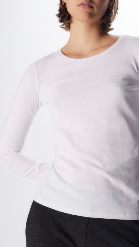 TEESHIRT EN COTON FTS037 M007 MAJESTIC BLANC